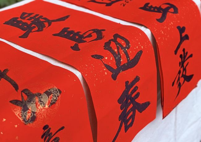 駿馬迎春．2026新春活動一覽