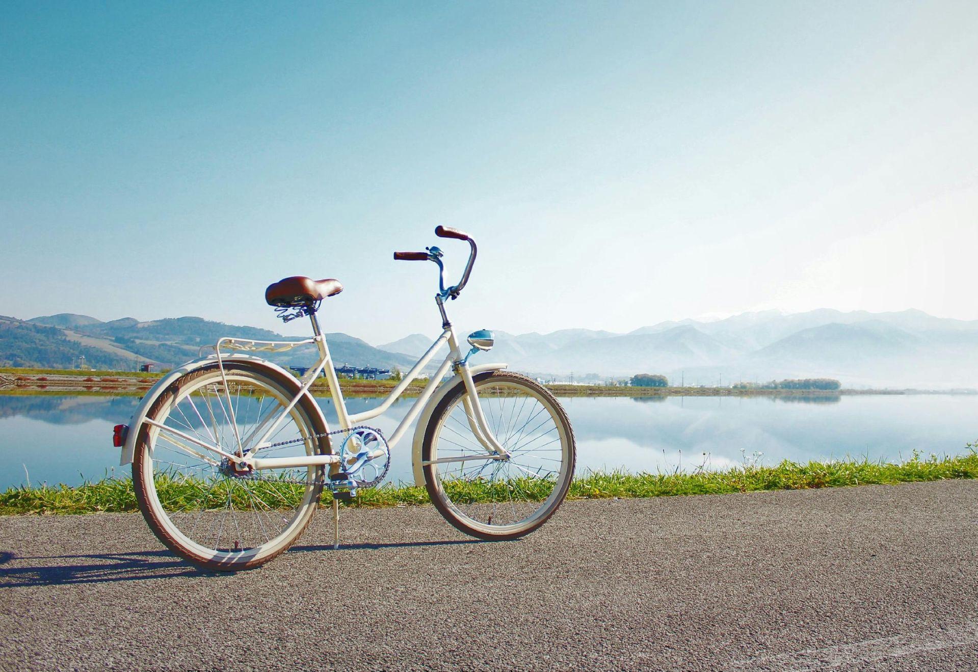 Giant Bicycle Rental